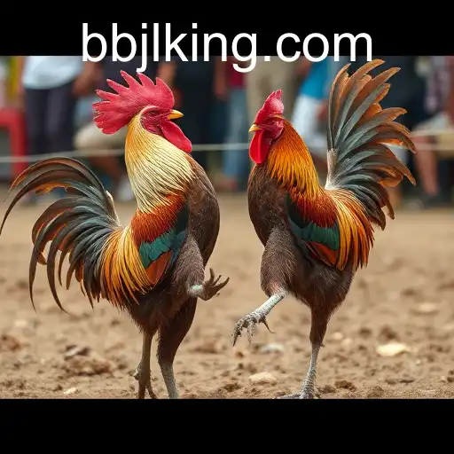 Exploring the World of Sabong Games: The Role of BBJL